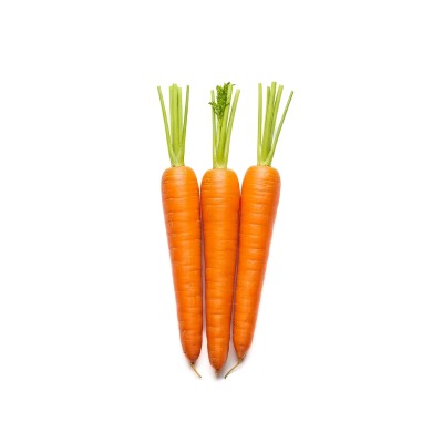 Carrot